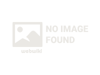 Universaldigitalcopy.com